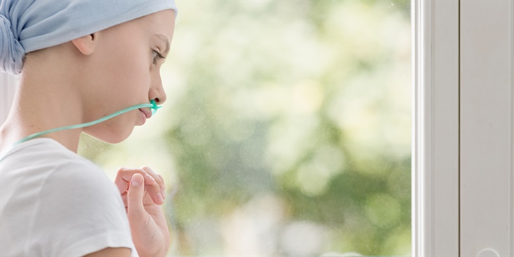 The Paediatric Palliative Care National Action Plan Project