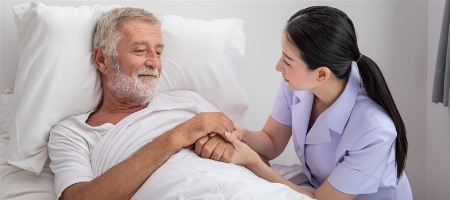 Palliative care nursing in Australia and the role of the registered nurse in palliative care