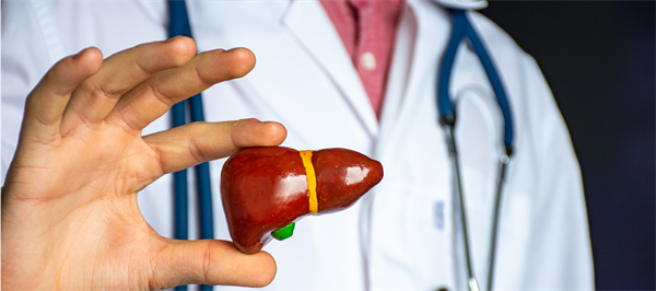 Improving palliative and supportive care in advanced cirrhosis: The HepatoCare model of integrated collaborative care