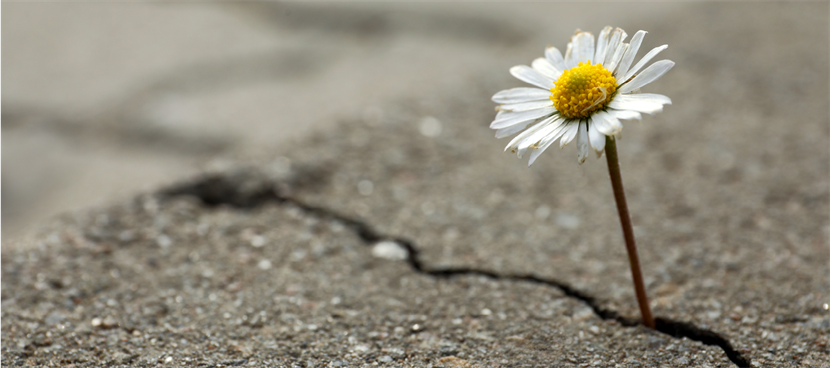 Finding strength through advocacy: Supporting a parent living with dementia
