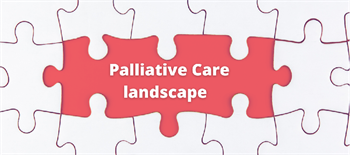 Mapping the terrain: A strategic view of the palliative care landscape in Australia