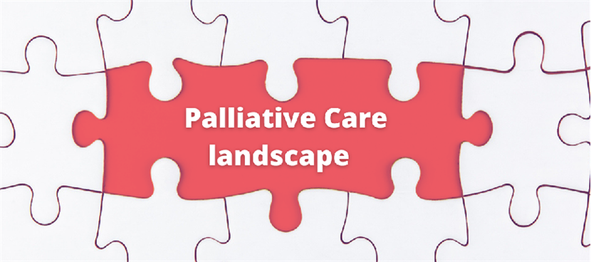 Mapping the terrain: A strategic view of the palliative care landscape in Australia