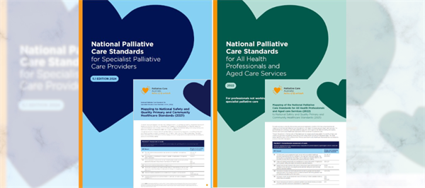 Embedding quality in practice: Using the Standards and Palliative Care Self-Assessment (PaCSA) to strengthen palliative care