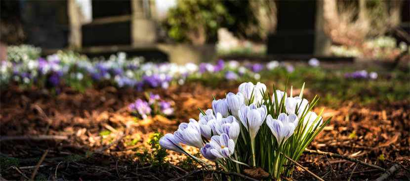 What is a ‘good death’?