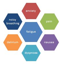 Figure 1: Common symptoms expected in the last days of life